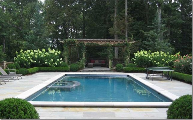 Rect Pool With Boxwood Edging Around Pool Deck Pool Colors Backyard rect-pool-with-boxwood-edging-around-pool-deck-pool-colors-backyard