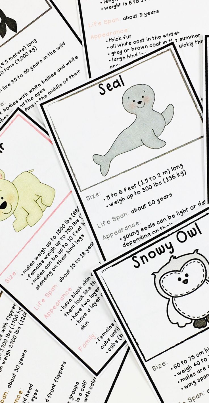 Printable Animal Trading Cards - decoracaopsfn