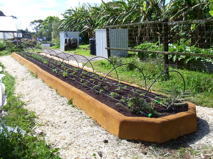 discover useful techniques for growing an organic garden awesome product click the raised bed garden designraised bed gardensraised vegetable - Raised Vegetable Garden Ideas And Designs discover useful techniques for growing an organic garden awesome product click the raised bed garden designraised bed gardensraised vegetable - Raised Vegetable Garden Ideas And Designs