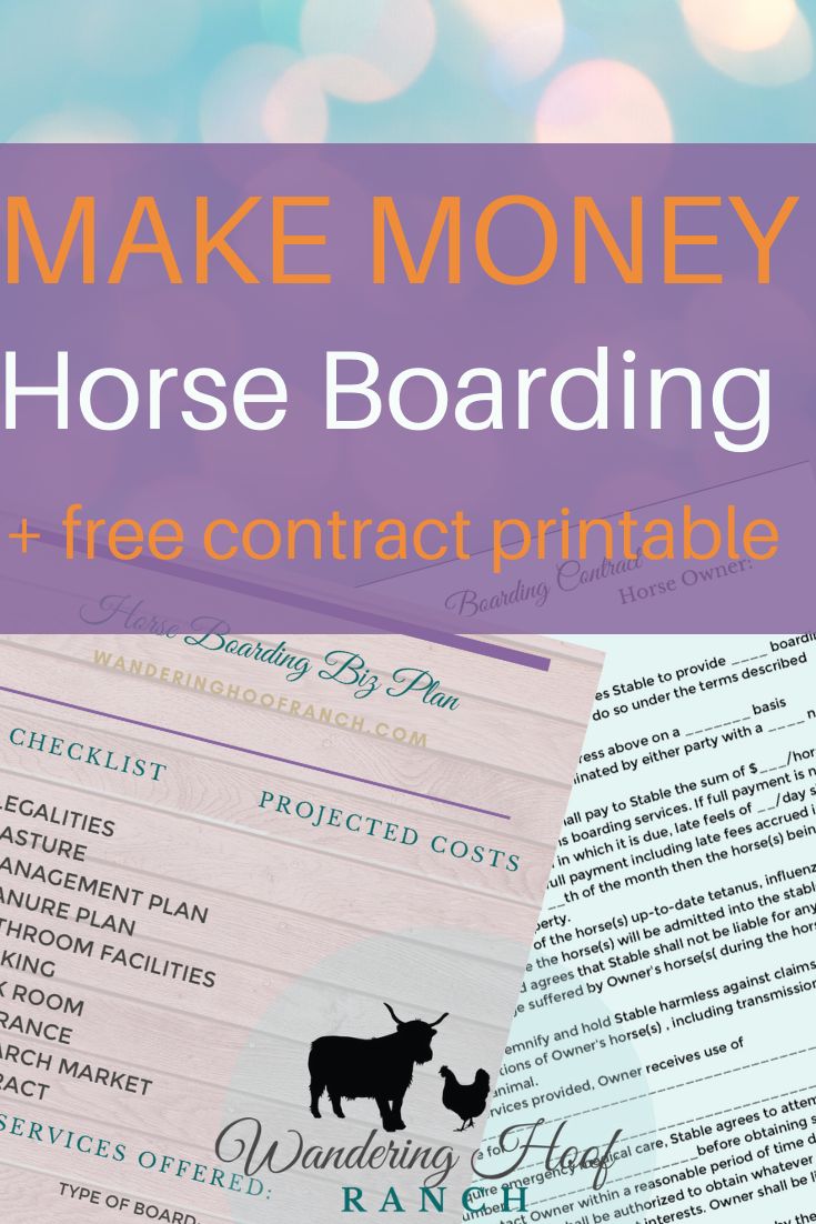 How make money horse boarding plus free contract printable Horse How make money horse boarding plus free contract printable Horse