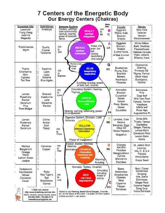 printable 7 chakras chart bing images gymnasts be inspired