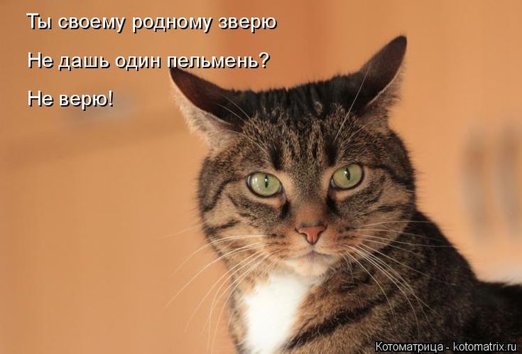 Поздравления месяца, фото с надписью не верю