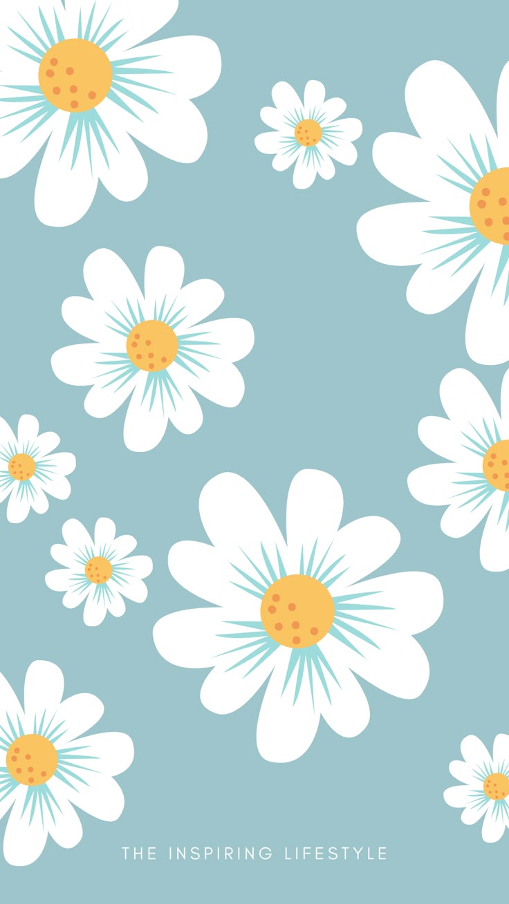 Cute Girly Daisy Flower Wallpapers Cutest Flowers Wallpaper in Blue | Cute flower wallpapers, Daisy