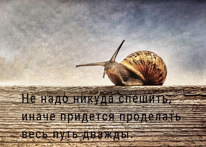 Спб Интернет Магазин Самовывоз Спб Интернет Магазин Самовывоз