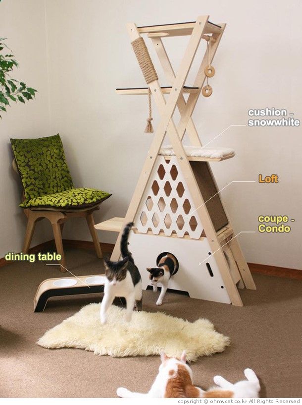 Best Way To Get Cats To Stop Scratching Furniture Best Way To Get Cats To Stop Scratching Furniture