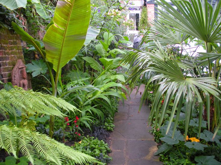 Garden Design Tropical 145 best tropical garden design images on pinterest | landscaping Garden Design Tropical 145 best tropical garden design images on pinterest | landscaping