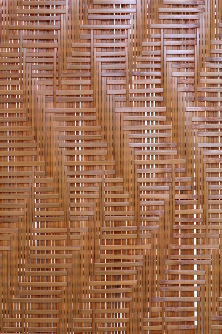 best 25+ bamboo wall ideas on pinterest | bamboo garden, bamboo best 25+ bamboo wall ideas on pinterest | bamboo garden, bamboo
