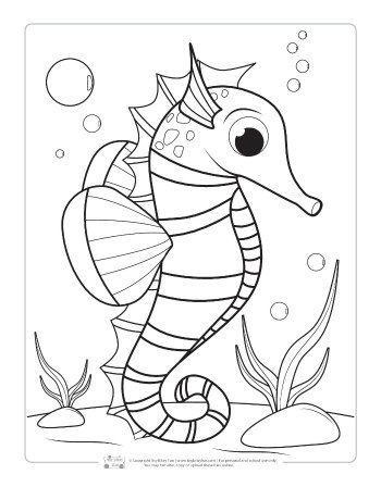 7700 Coloring Pages Summer Animals Download Free Images 7700 Coloring Pages Summer Animals Download Free Images