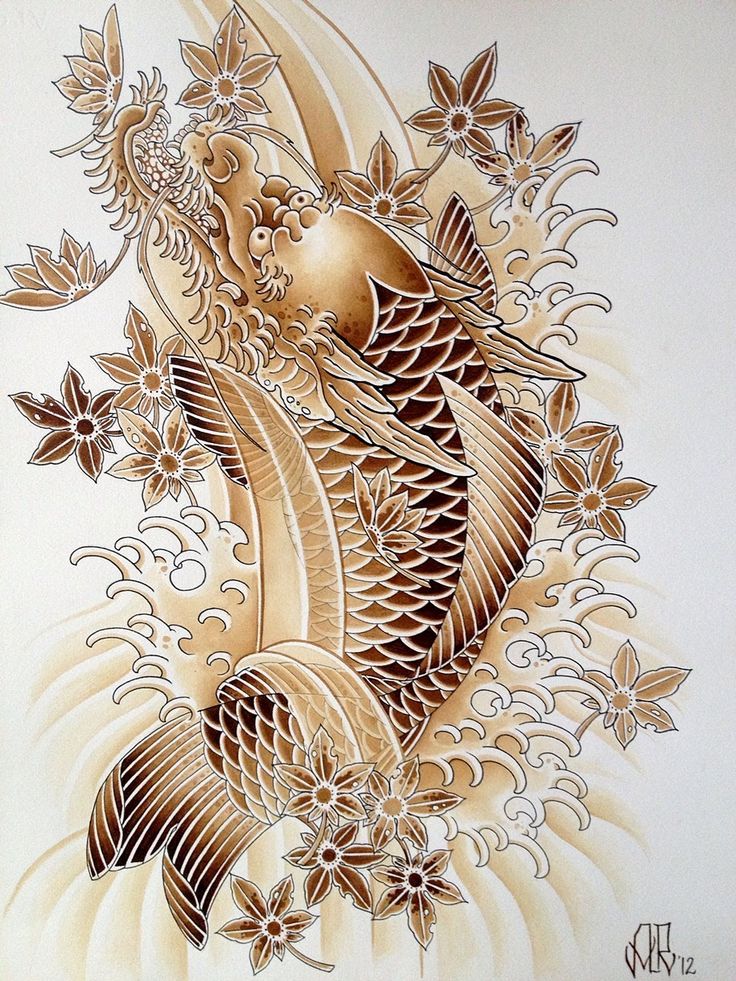 dragon coy