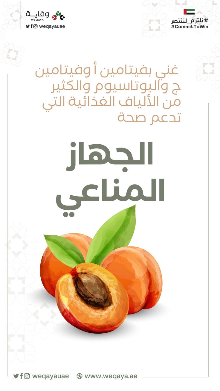 تعرف على فوائد المشمش الصحية Fruit Food Cantaloupe