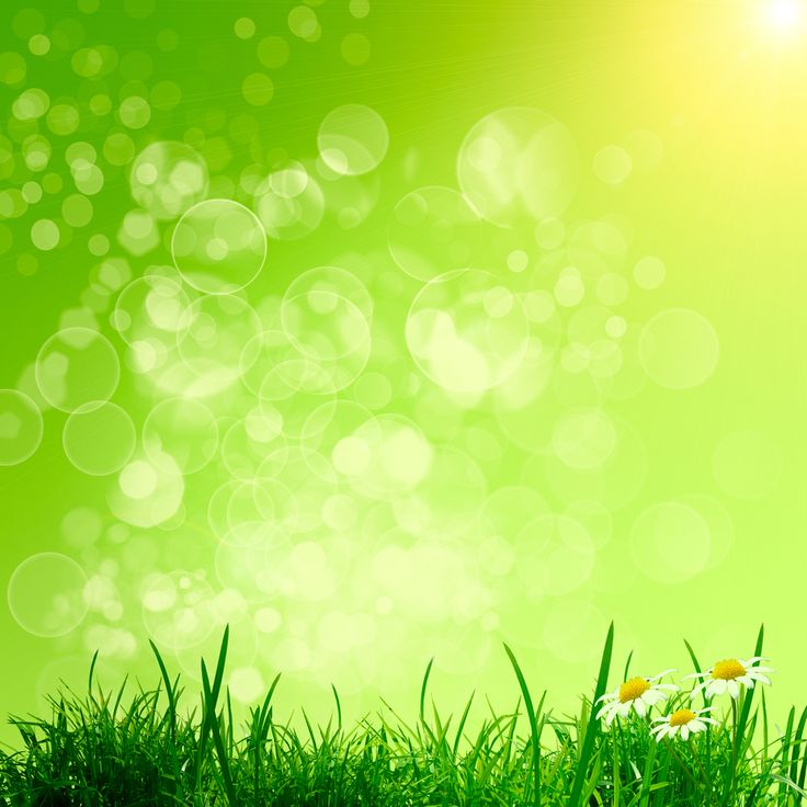 Best Foods To Alkalise The Body Best Foods To Alkalise The Body