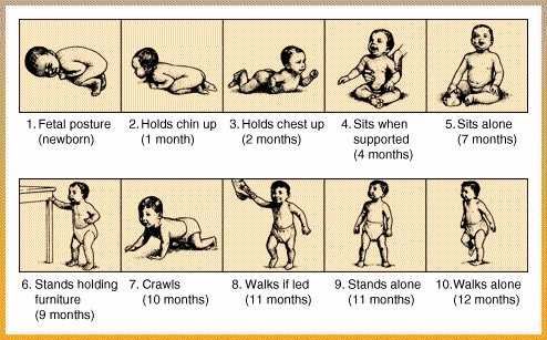 observation physical development of a new The new definition elaborated in concept analysis was validated by nine experts in this sense, the development of the child is rarely observed in health care(-. observation physical development of a new The new definition elaborated in concept analysis was validated by nine experts in this sense, the development of the child is rarely observed in health care(-.