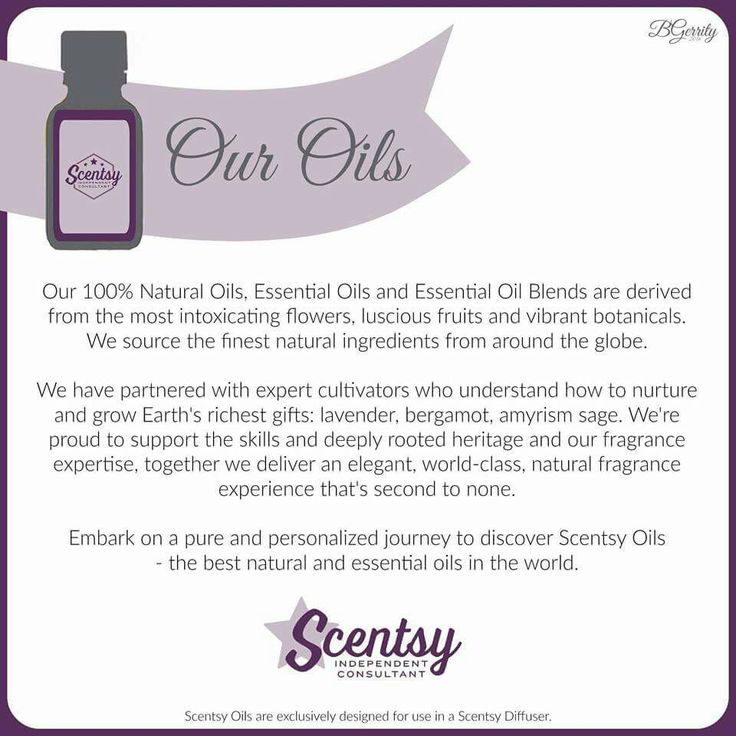 scentsy consultant support