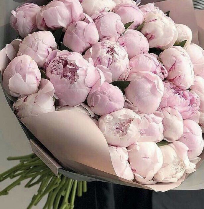 The Elite Flower