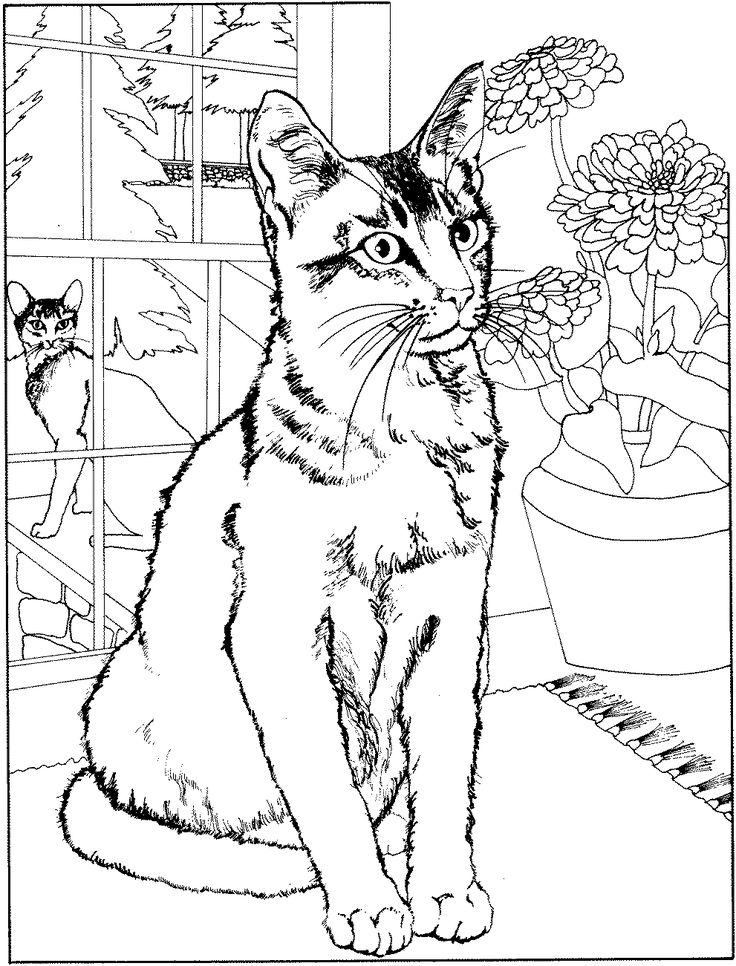 cat34.gif 991×1,301 pixels | Cat coloring page, Love coloring pages