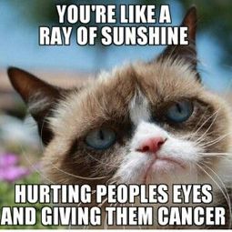 best 25 i like you meme ideas on pinterest ouch meme, job memes d46fbbcec73bc4e890daf1511413b14b funny cats funny animals best 25 i like you meme ideas on pinterest ouch meme, job memes,You Are My Sunshine Meme