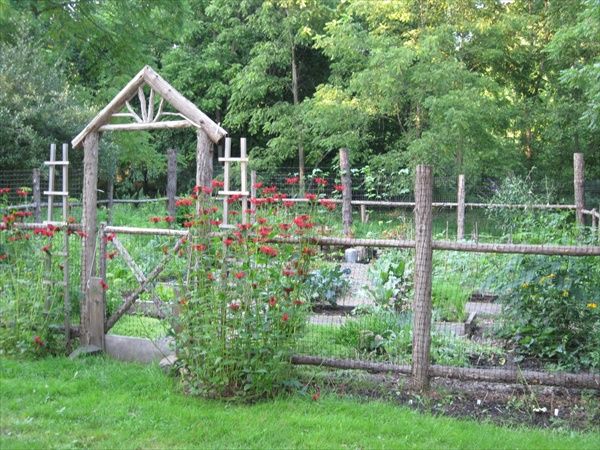 Diy Vegetable Garden Ideas 25+ best cheap garden ideas ideas on pinterest | inexpensive Diy Vegetable Garden Ideas 25+ best cheap garden ideas ideas on pinterest | inexpensive