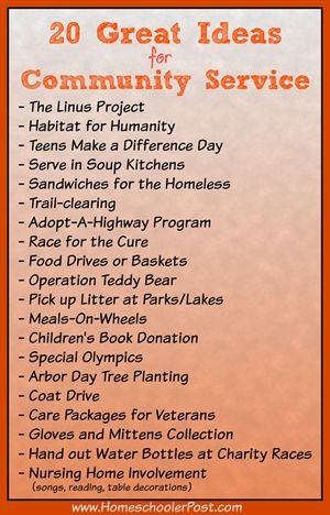 Community service project essay