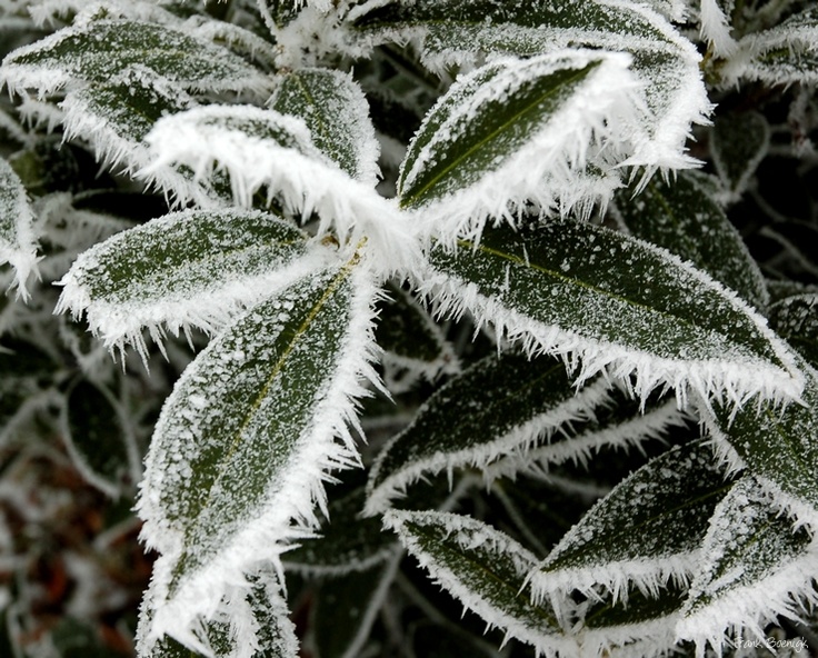 Mother Nature S Baby Mother Nature S Baby