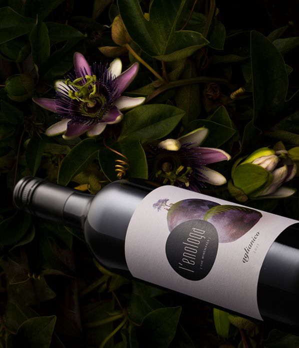 47 best Best Wine Label Designs images on Pinterest Wine labels - wine label 47 best Best Wine Label Designs images on Pinterest Wine labels - wine label