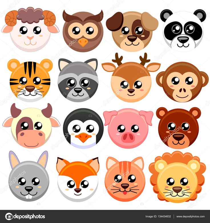 Cute animals in colored round badges Cartoon elephant, Animal design illustratio