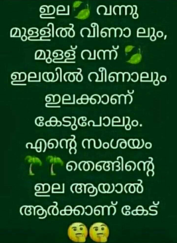 Fb Jokes Cute Funny Quotes Funny Quotes Funny Thoughts fb-jokes-cute-funny-quotes-funny-quotes-funny-thoughts