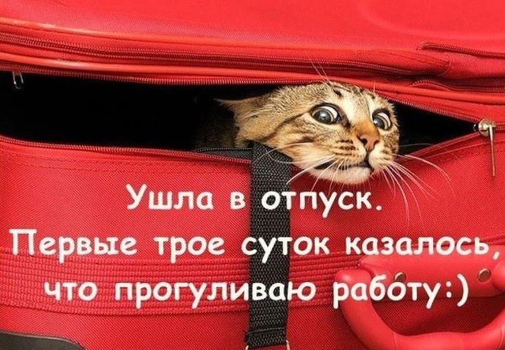 Открытки уезжающим
