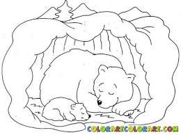 700 Coloring Pages Hibernating Animals Download Free Images