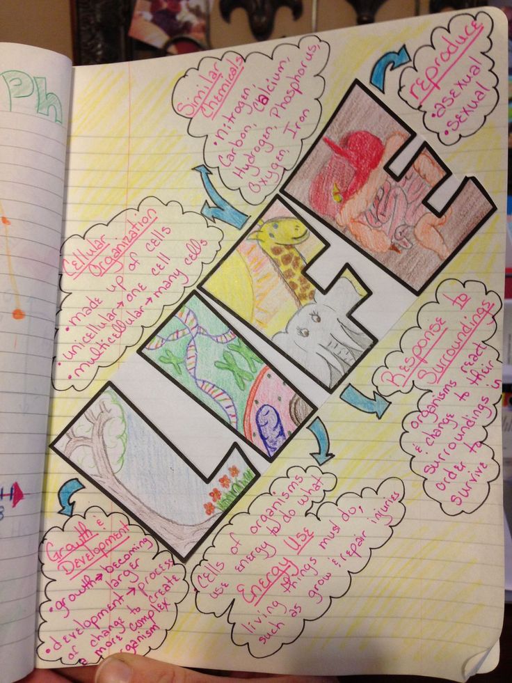 science project cover page design