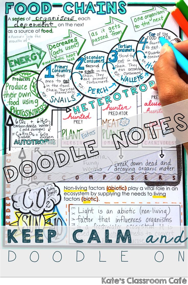 science doodle notes for template www