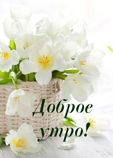 Картинки спасибо доброе утро, телевизором для
