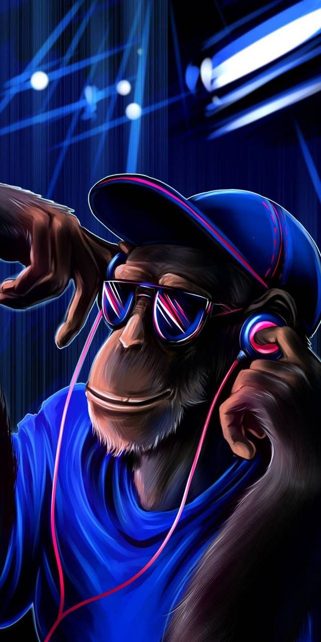 Crazy Hd Wallpapers Collection Hd Wallpapers D Wallpapers