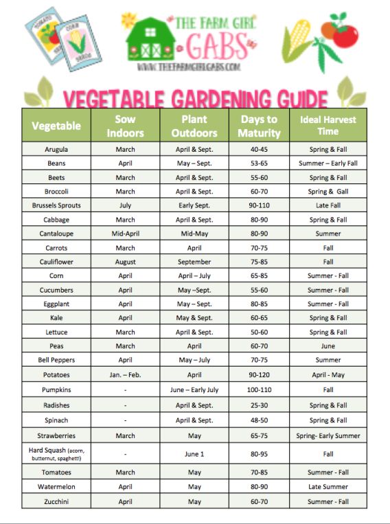 beginners illustrated guide to growing pdf free download