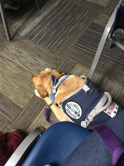 Dove Was Awesome Sitting Through 3 Hours Of Classmates