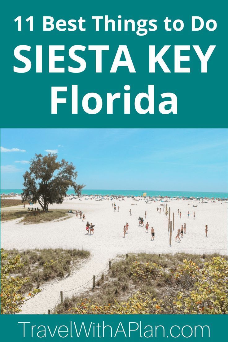 11 Best Things To Do In Siesta Key While On Vacation Travel With A Plan Siesta Key Siesta Key Florida Vacation Trips