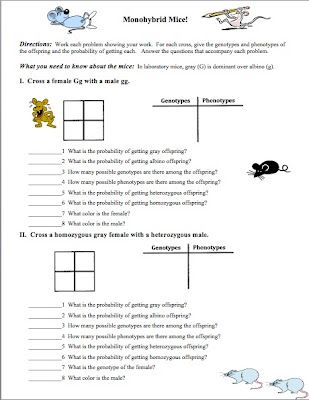 1009 best Genetics images on Pinterest Sweet sweet, Anatomy and - best of dna blueprint of life worksheet 1009 best Genetics images on Pinterest Sweet sweet, Anatomy and - best of dna blueprint of life worksheet