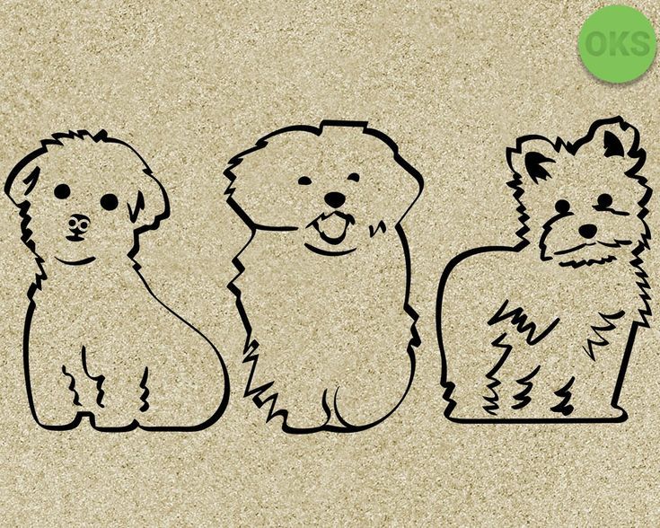 Maltese Svg Dxf Vector Eps Clipart Cricut Download Maltese