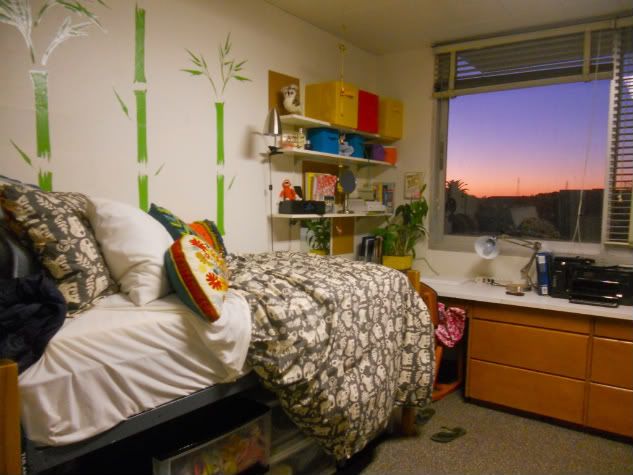 Dorm Room Ideas Images Dorm Room Ideas Images