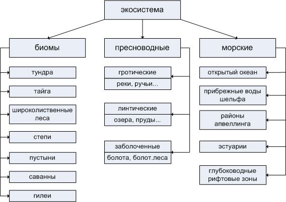 В чём сходство природной и искусственной экосистем?