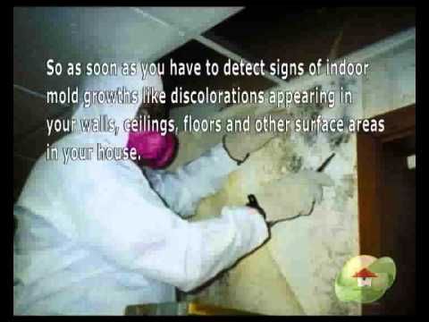 Mold In Bathroom Walls Dangerous best 25+ mold in bathroom ideas on pinterest | clean shower mildew Mold In Bathroom Walls Dangerous best 25+ mold in bathroom ideas on pinterest | clean shower mildew