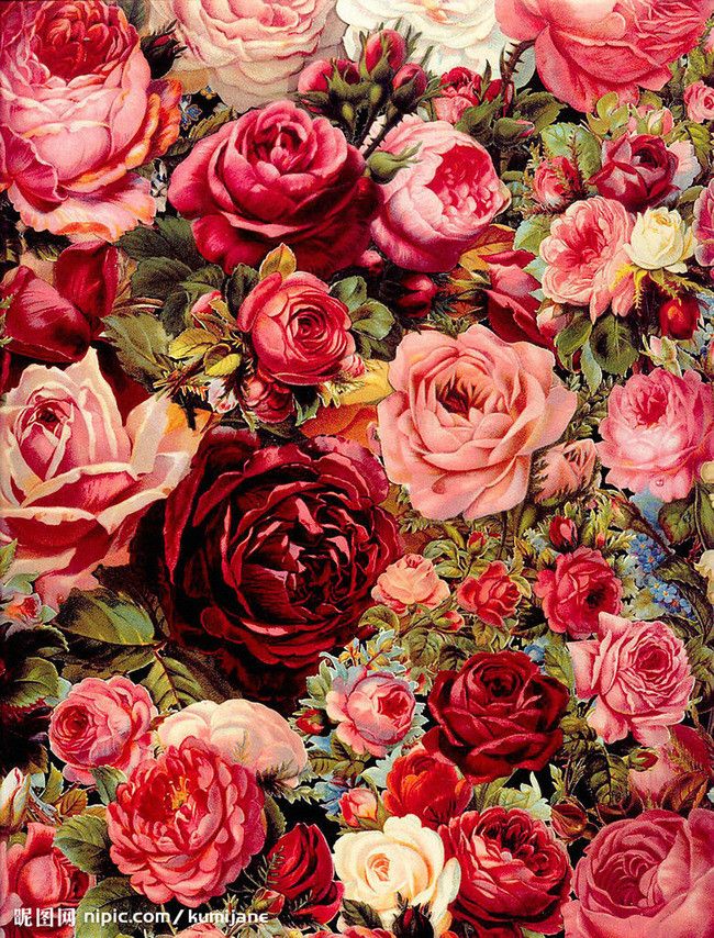 粉紅色玫瑰花背景素材 Paint By Number Rose Wallpaper Pink Roses Background 粉紅色玫瑰花背景素材 Paint By Number Rose Wallpaper Pink Roses Background