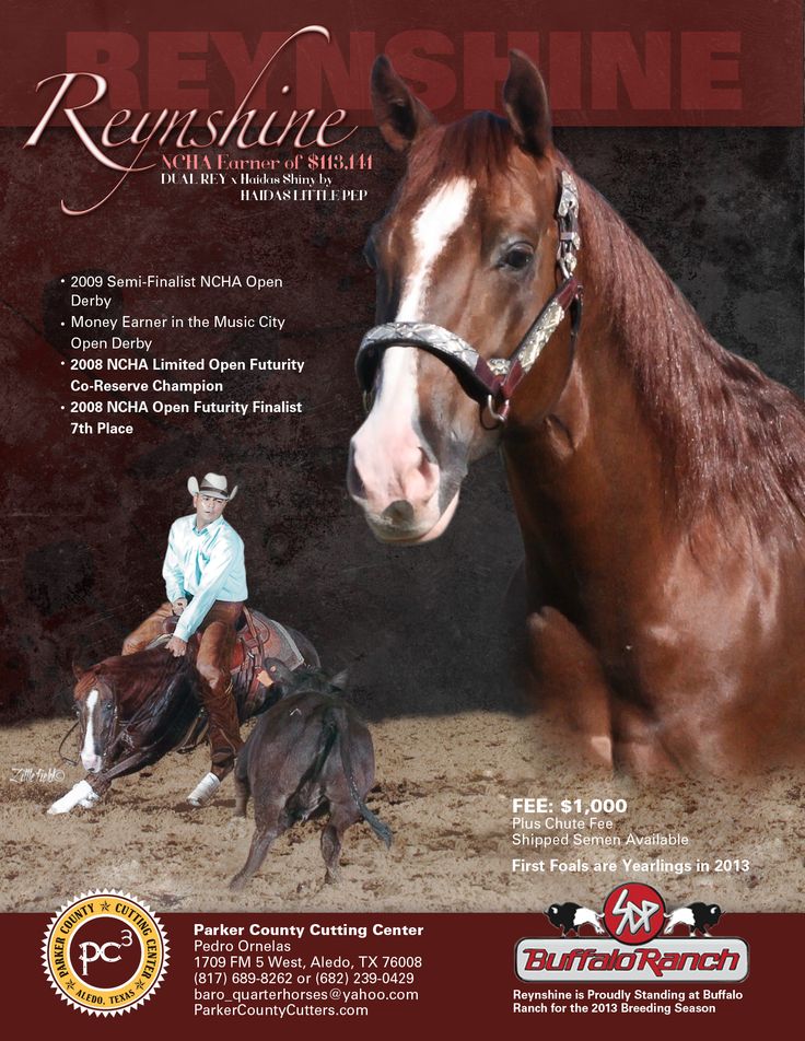 reynshines flyer i designed for parker county cutting center for horse flyers