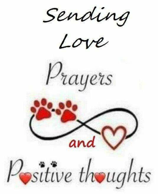 Pin By Melodie Szakats On Cards Get Well Pets Sending Prayers pin-by-melodie-szakats-on-cards-get-well-pets-sending-prayers