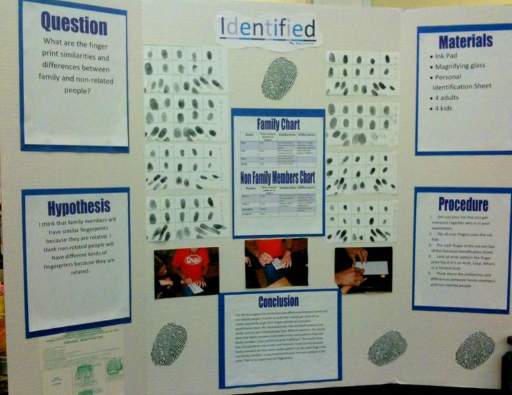 easy science fair projects science fair projects for 5th science fair projects board layout