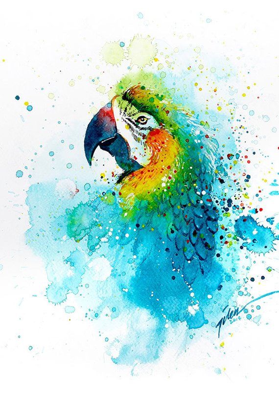 parrot watercolor painting a4 a3 art print acrylics photo to watercolor
