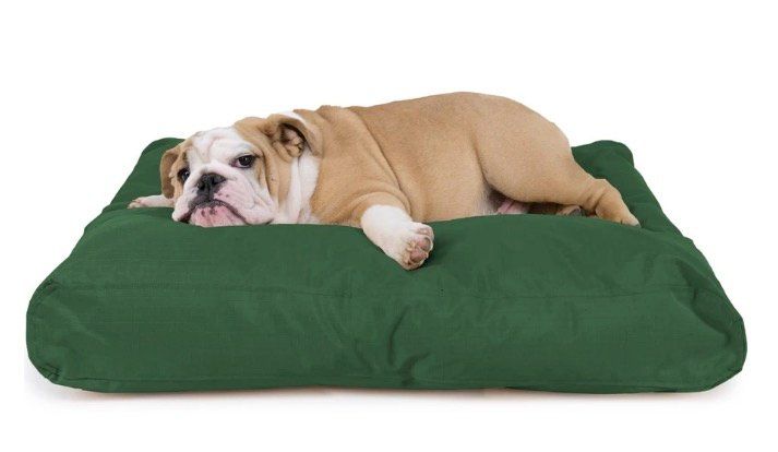 The 9 Best Indestructible Dog Beds for Chewers, Diggers, and Shredders