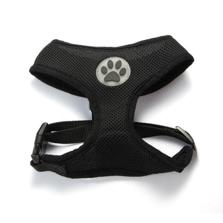 Extra Extra Small Dog Harness Extra Extra Small Dog Harness
