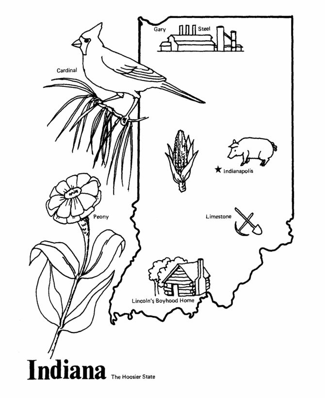 8 best Indiana images on Pinterest Adult coloring, Coloring books - copy coloring pages birds in winter 8 best Indiana images on Pinterest Adult coloring, Coloring books - copy coloring pages birds in winter