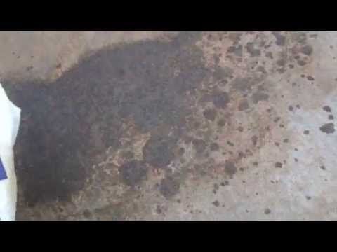 Magic trick (use a brick!): driveway oil stains disappear! - Ezaar Barrow - #Bar...