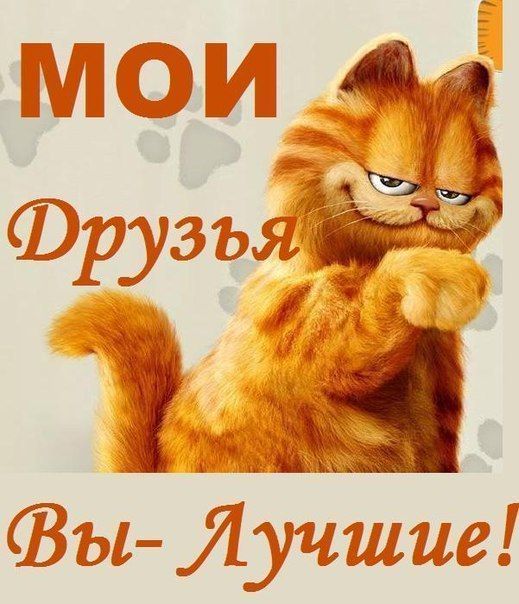 Дню, картинки вы самые лучшие друзья